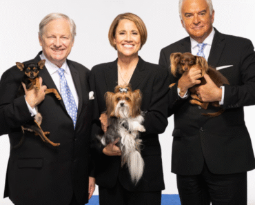 The National Dog Show: A Thanksgiving Tradition Gone to the Dogs The National Dog Show: A Thanksgiving Tradition Gone to the Dogs
