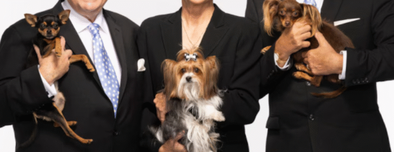 The National Dog Show: A Thanksgiving Tradition Gone to the Dogs The National Dog Show: A Thanksgiving Tradition Gone to the Dogs